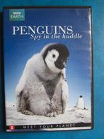 Pingouins - Un espion en groupe, À partir de 6 ans, Enlèvement ou Envoi, Comme neuf, Nature