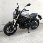 BENELLI LEONCINO TRAIL 800 BJ 2024, Motoren, Motoren | Benelli, 2 cilinders, Motorrijbewijs A, Bedrijf, Meer dan 35 kW