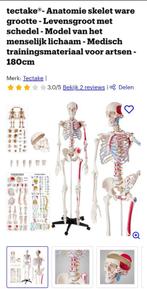 Tectake Anatomie skelet, Ophalen, Zo goed als nieuw