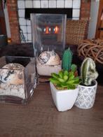 Twee vazen met schelp+ drie kleine nep cactus, Ophalen