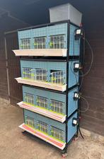 Cimuka Kuikenkooi op wielen 4 verdiepingen, 40cm, Dieren en Toebehoren, Ophalen, Zo goed als nieuw