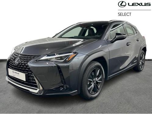Lexus UX 250h Business Line + leather, Auto's, Lexus, Bedrijf, UX, Adaptive Cruise Control, Airbags, Airconditioning, Bluetooth
