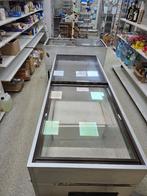 Verkoop koelingen en vriezers voor proffesioneel gebruik, Ophalen, Vrieskist, Gebruikt, 160 cm of meer