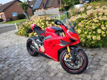 Ducati Panigale V4s, Particulier