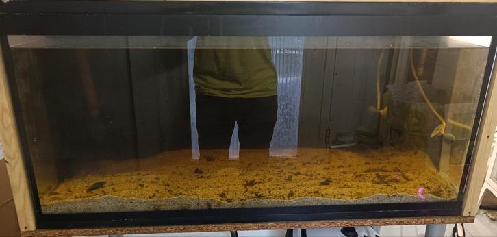 Aquarium, Dieren en Toebehoren, Vissen | Aquaria en Toebehoren, Ophalen