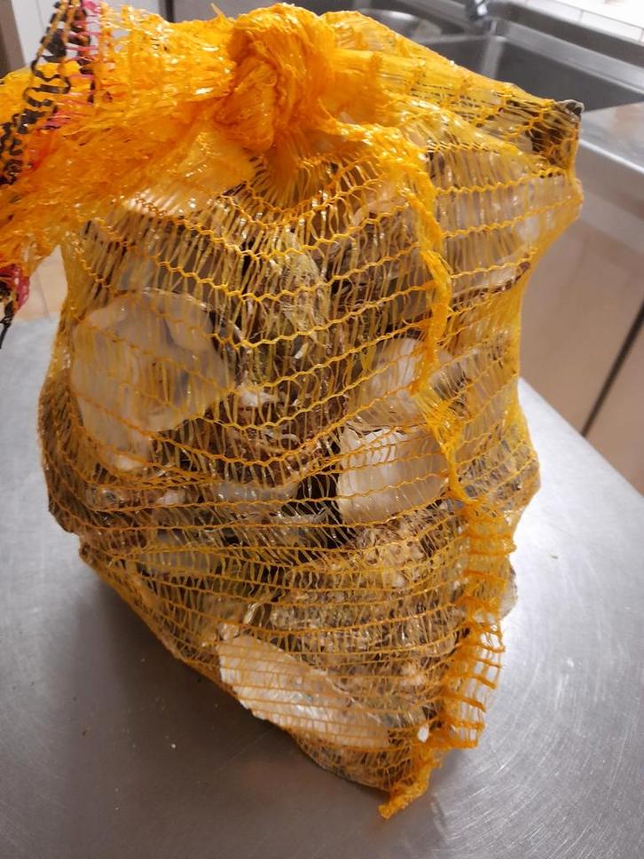 Gereinigde oesterschelpen, Handtassen en Accessoires, Oorbellen, Ophalen