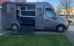 Paardencamionette te huur, Dieren en Toebehoren, Paarden en Pony's | Trailers en Aanhangwagens, Ophalen