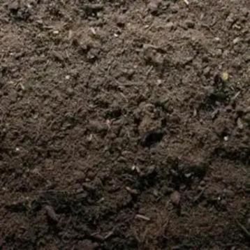 Zwarte grond gevraagd beschikbaar voor biedingen