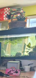 Aquarium, Animaux & Accessoires, Poissons | Aquariums & Accessoires, Enlèvement, Utilisé, Aquarium vide