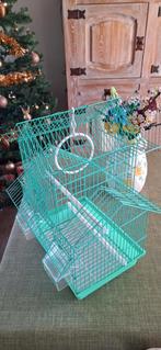 Vogelkooi, Dieren en Toebehoren