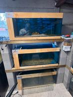 Aquarium stellingen, Dieren en Toebehoren, Ophalen, Zo goed als nieuw