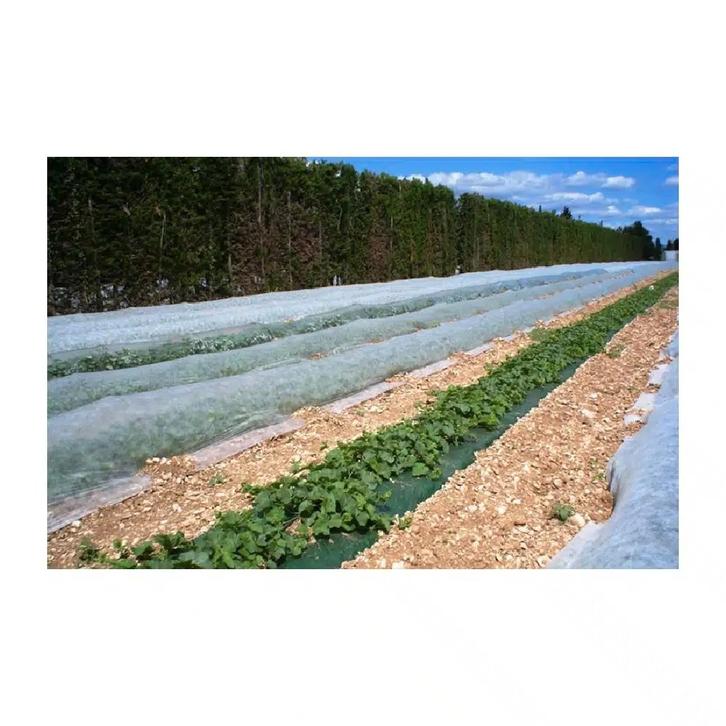 Vliesdoek 30gr 8,4mt breed, verkrijgbaar per lm, Tuin en Terras, Kweekspullen, Nieuw, Ophalen of Verzenden