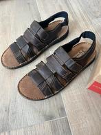 Sandalen heren nieuw, Ophalen of Verzenden, Nieuw, Bruin, Sandalen