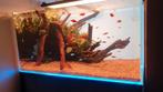 Aquascaper 140L, Ophalen
