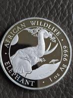 Éléphant sauvage d'Afrique en argent 999 de 1 oz, Enlèvement, Argent