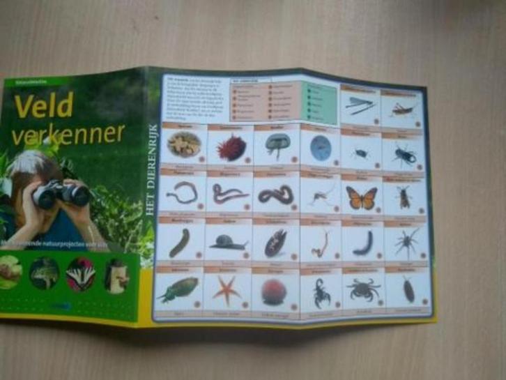 boek: veldverkenner - natuurdetective, Boeken, Natuur, Zo goed als nieuw, Natuur algemeen, Ophalen of Verzenden