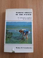 Determinatiegids voor zeeschelpen, Copyright Walter O. Cerno, Ophalen of Verzenden, Zo goed als nieuw, Natuurwetenschap