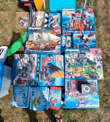 Groot lot playmobil, Enlèvement
