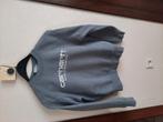 Sweater van CARHARTT grijs gaat voor jongens en meisjes, Ophalen of Verzenden, Zo goed als nieuw, Maat 34 (XS) of kleiner, Grijs