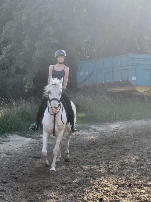 Lesgever/rijles gezocht (zonder eigen paard!!), Dieren en Toebehoren, Stalling en Weidegang