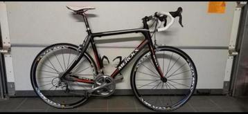 Koersfiets - maat 56 Merckx - Carbon / Shimano ultegra