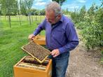 Bijenvolken, Ophalen of Verzenden