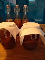 Scoby kombucha, Ophalen