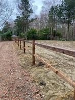 Plekje in eigen beheer!, Pâturage, 1 cheval ou poney