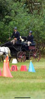 Presentatiewagen vierspan en tweespan pony - pony koets, Gebruikt, Pony