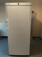 Diepvrieskast Liebherr 472 liter, Elektronische apparatuur, Vriezers en Diepvrieskisten, 160 cm of meer, Zo goed als nieuw, Ophalen