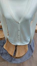 Gilet Scapa, Kleding | Heren, Kostuums en vesten, Ophalen of Verzenden