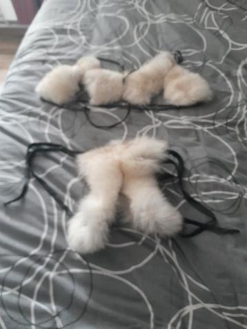 pels lingerie  beschikbaar voor biedingen