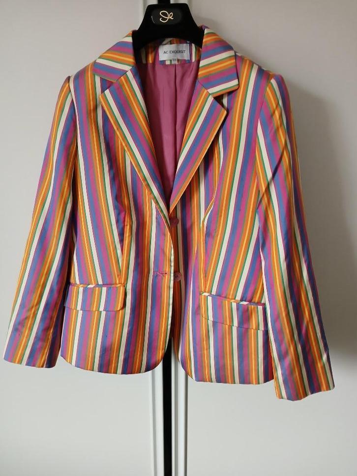 leuke 100 % zijden dames blazer, Kleding | Dames, Jasjes, Kostuums en Pakken, Zo goed als nieuw, Jasje, Maat 42/44 (L), Overige kleuren