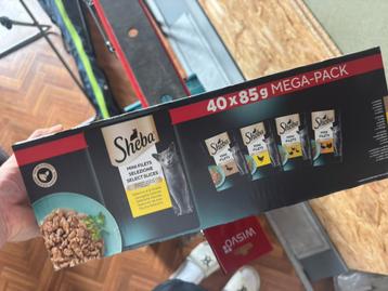 Sheba kat eten, Enlèvement, Neuf