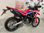 Honda CRF300 Rally (bj 2024), 286 cc, Bedrijf, Overig, 12 t/m 35 kW