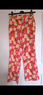 Nieuwe broek esqualo 38, Ophalen of Verzenden, Zo goed als nieuw