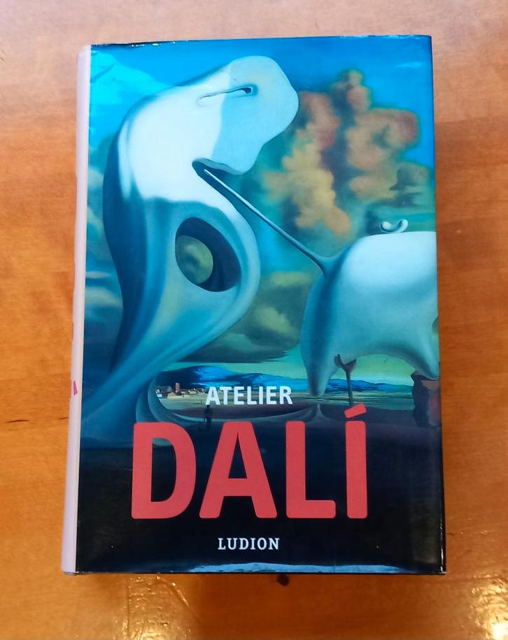 Atelier Dali, Boeken, Kunst en Cultuur | Beeldend, Gelezen, Schilder- en Tekenkunst, Ophalen