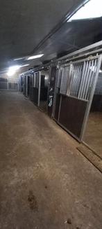 Volpension paardenstalling, Dieren en Toebehoren, Weidegang