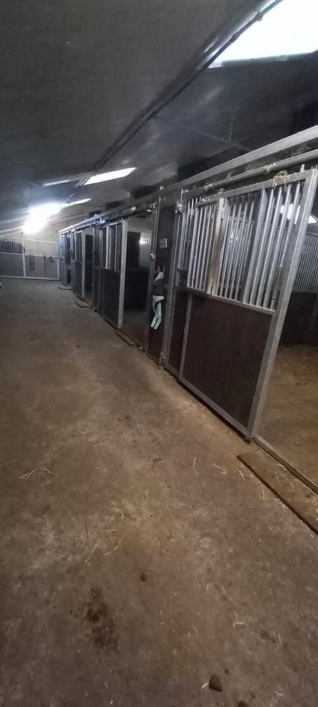 Volpension paardenstalling, Dieren en Toebehoren, Stalling en Weidegang, Weidegang