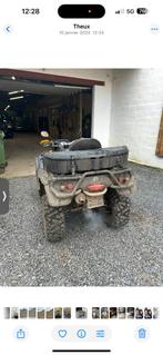 Quad, Motoren, 1 cilinder, 800 cc, Meer dan 35 kW