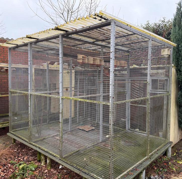 Grote buitenvolière / vogelkooi te koop, Animaux & Accessoires, Oiseaux | Cages & Volières, Utilisé, Cage à oiseaux, Aluminium