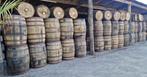 Partijen eikenhouten whiskyvaten 190 liter (vanaf 10 stuks), 150 liter of meer, Ophalen, Nieuw, Hout