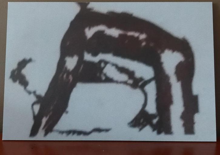 wit zwart 2006, Antiek en Kunst, Kunst | Overige Kunst, Verzenden