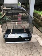 Cage inséparable ou oiseaux, Enlèvement, Utilisé, Cage à oiseaux