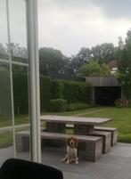 Tuinset, Ophalen, Gebruikt, Bank, 8 zitplaatsen