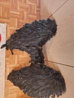 Carnaval the maleficent, Ophalen