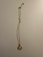 Compass Gold – Gouden Kompas Halsketting, Verzenden, Nieuw, Overige materialen, Met hanger