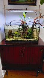 Aquarium met alle toebehoren!, Dieren en Toebehoren, Ophalen