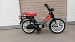 Honda Camino custom. B klasse vario., Honda, 49 cc, Klasse B (45 km/u), Honda@eu
