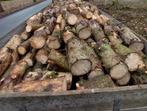 Brandhout, enkel nog zelf te klieven, Ophalen of Verzenden, Blokken, 6 m³ of meer, Overige houtsoorten